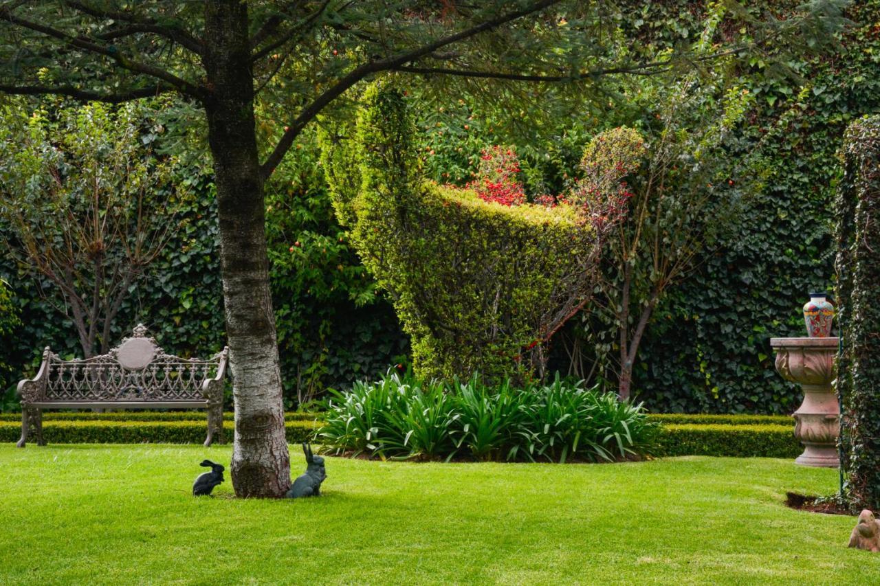Quinta Del Rey Hotel Toluca Exterior photo
